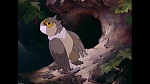 Image Bambi