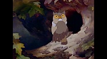 Image Bambi