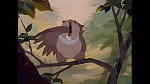 Image Bambi