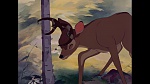 Image Bambi