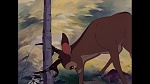 Image Bambi