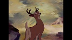 Bambi picture