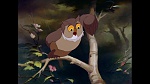 Image Bambi