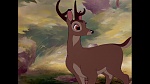 Image Bambi
