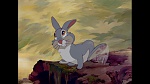 Bambi picture
