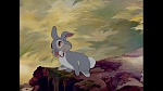 Bambi picture