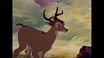 Bambi picture