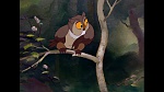 Image Bambi