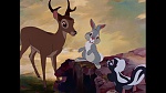 Bambi picture