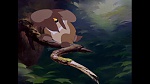 Image Bambi