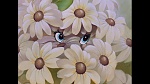Image Bambi