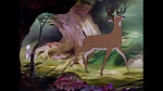 Bambi picture