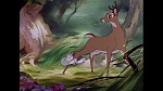 Image Bambi