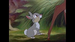 Bambi picture