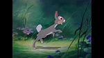 Image Bambi