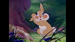 Image Bambi