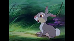 Image Bambi