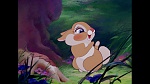 Image Bambi