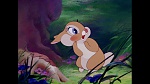 Image Bambi