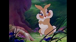 Image Bambi