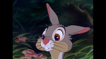 Image Bambi