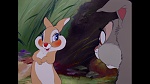 Image Bambi