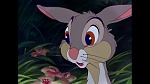 Image Bambi