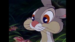 Image Bambi