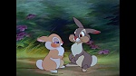 Image Bambi