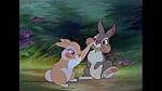 Image Bambi