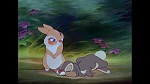 Image Bambi