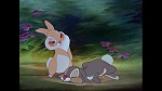 Image Bambi