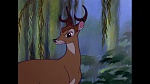 Bambi picture