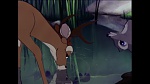 Image Bambi