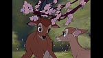 Image Bambi