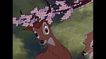 Bambi picture