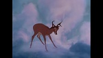 Bambi picture