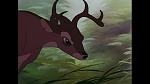 Bambi picture