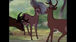 Image Bambi