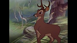Image Bambi