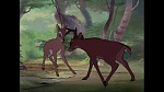 Bambi picture