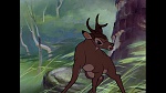 Image Bambi