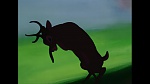 Bambi picture
