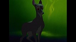 Image Bambi