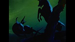 Bambi picture