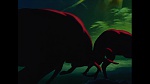 Bambi picture