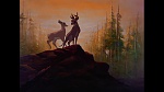 Image Bambi