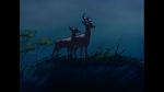 Image Bambi