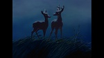 Image Bambi