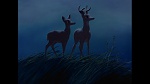 Image Bambi